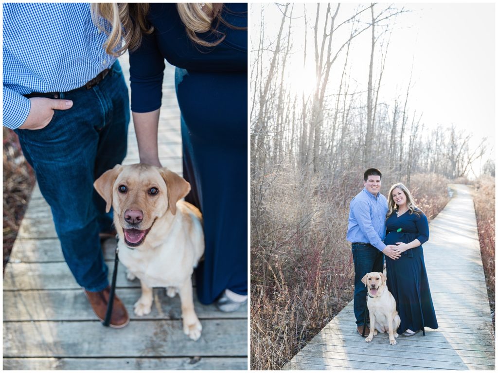 Lion's Den Park in Milwaukee, WI Maternity session with dog