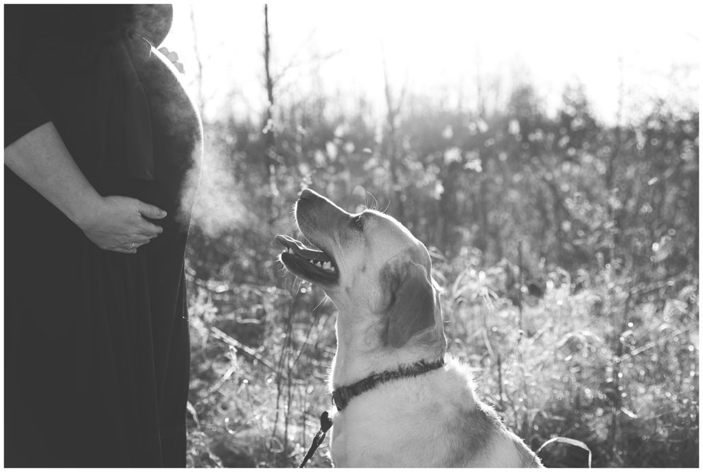 Lion's Den Park in Milwaukee, WI Maternity session with dog