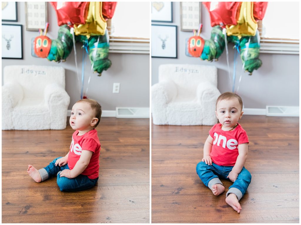 Germantown, WI Family Photographer | One Year Session