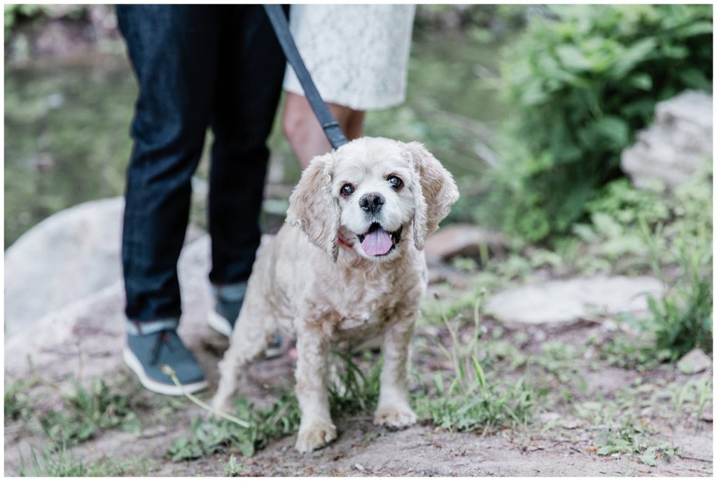 Engagement Session with Dog | Happy Takes Photography