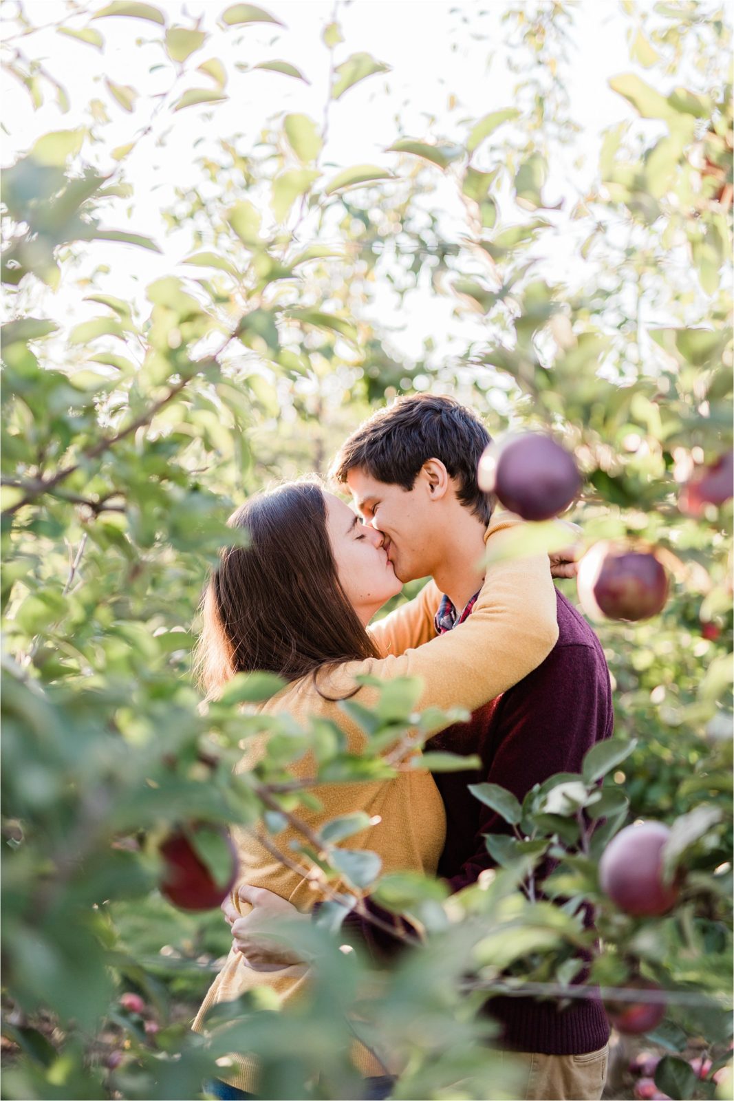 Engagement photos at an apple orchard