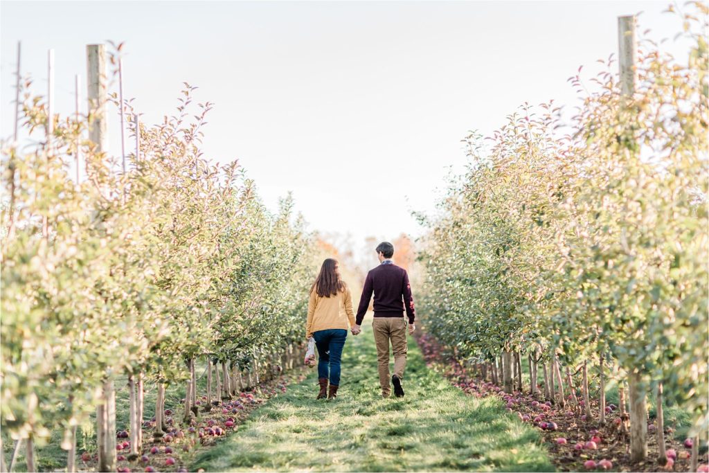 Engagement Session at an apple orchard